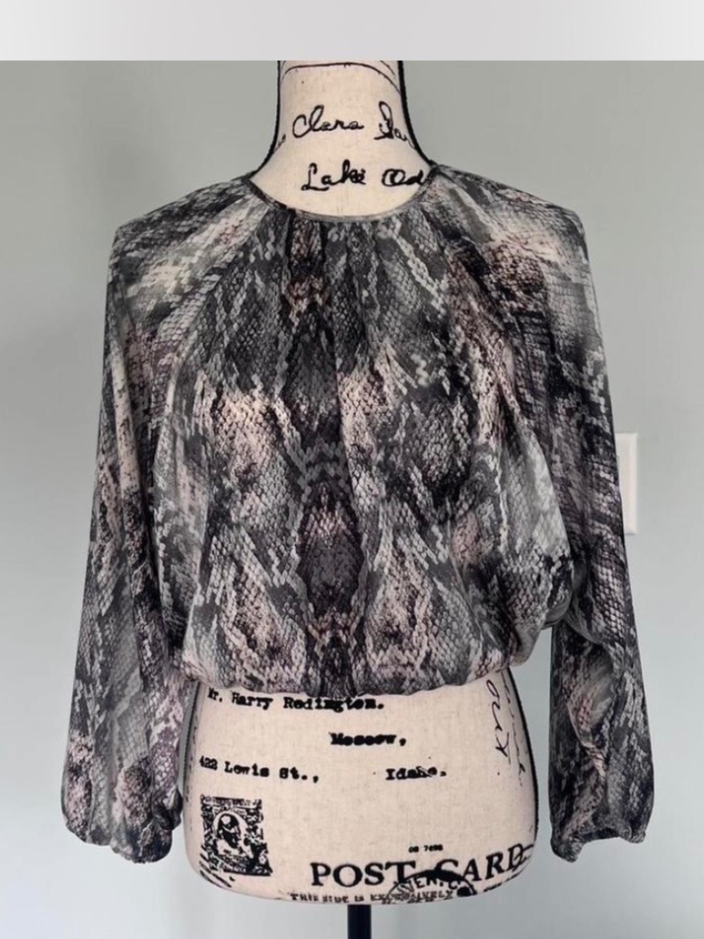 Krisa Snake Print Blouse